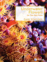 Underwater Flowers Bass Flute Duet cover